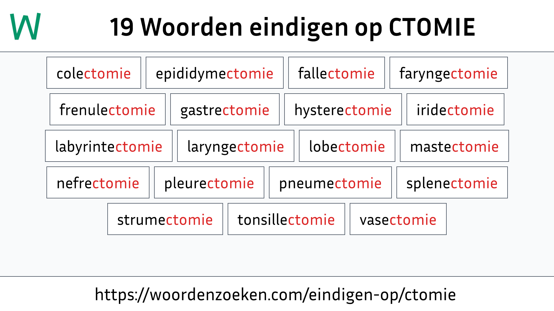 Woorden eindigen op CTOMIE