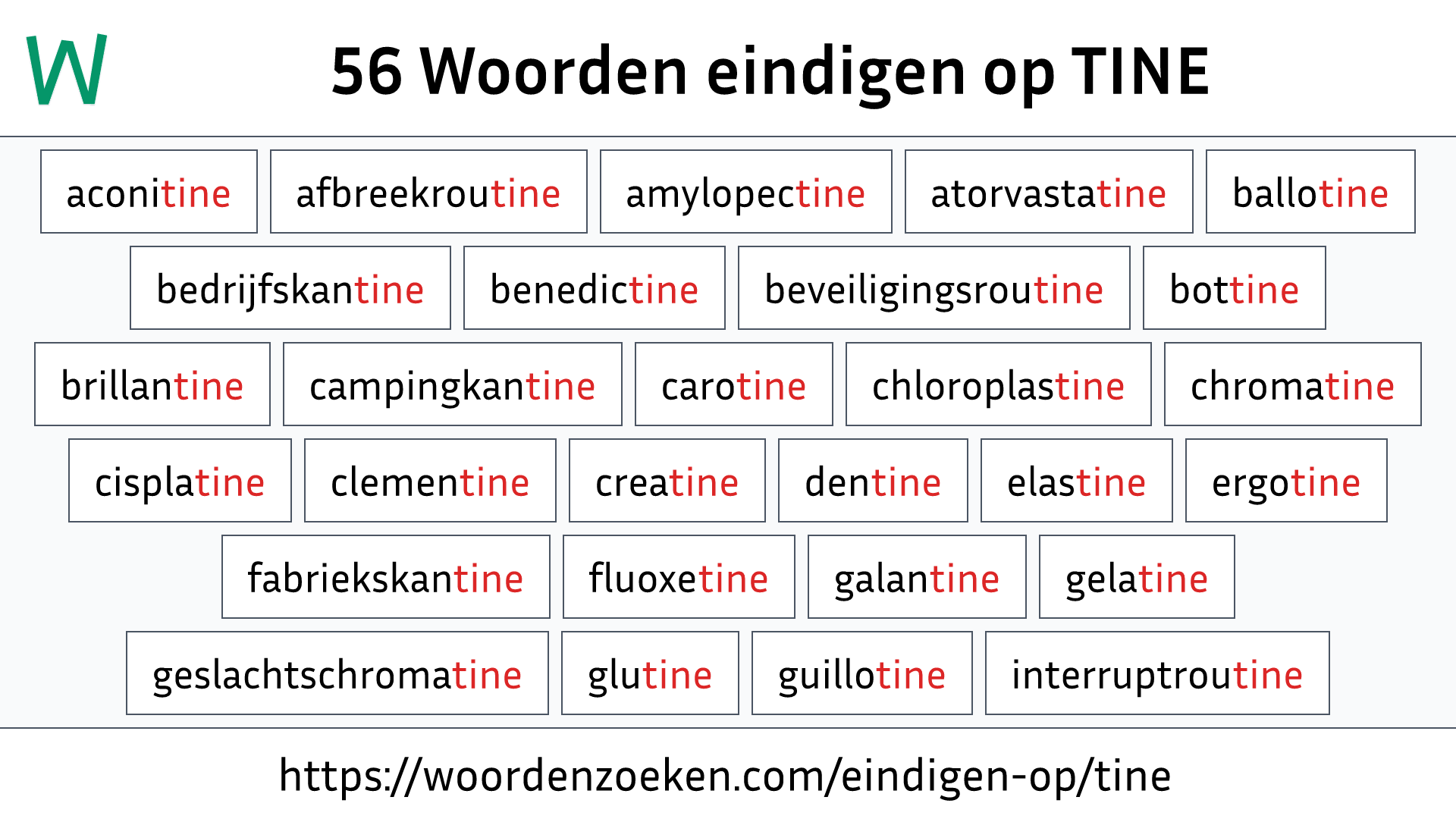 Woorden eindigen op TINE