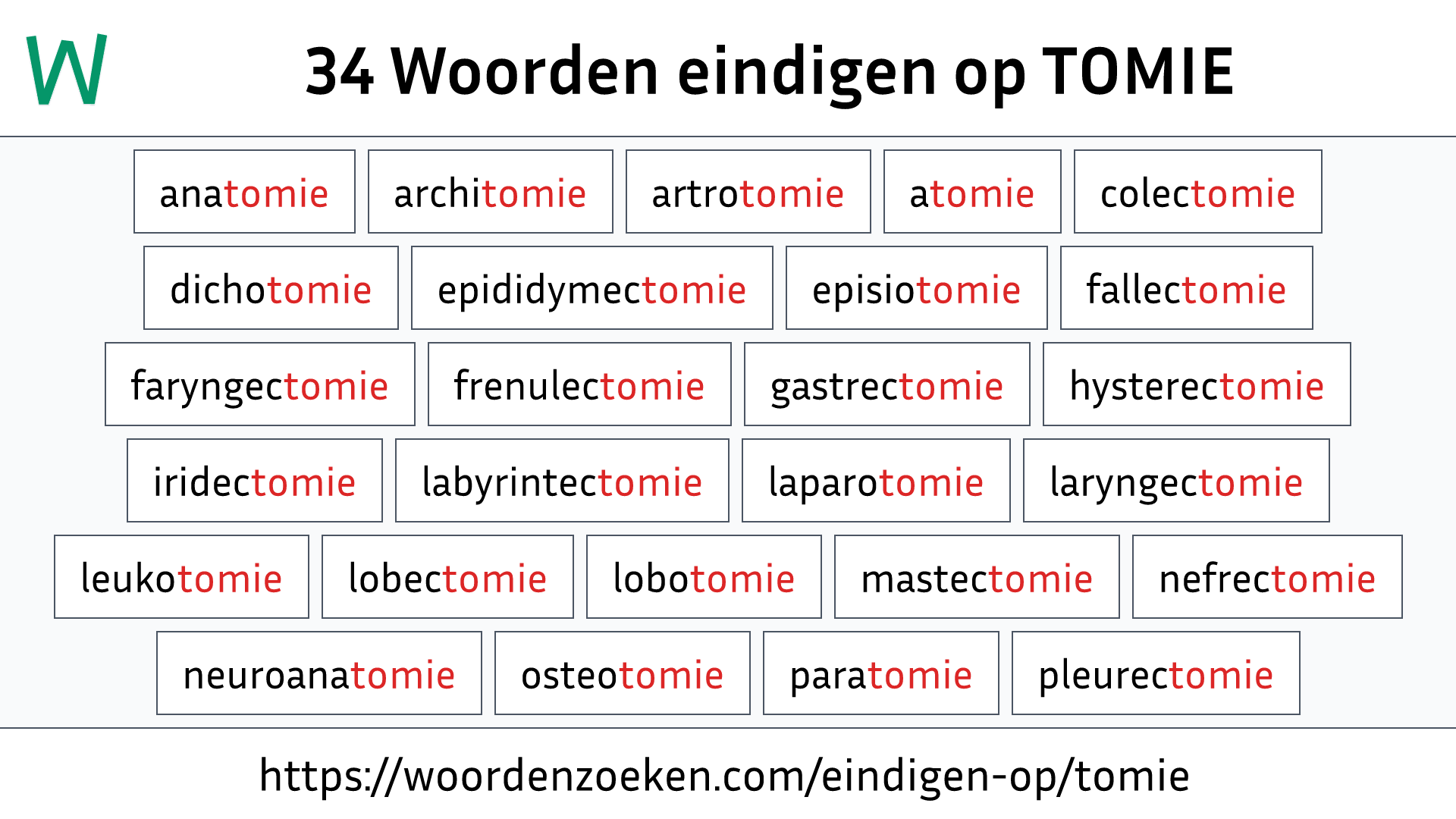 Woorden eindigen op TOMIE