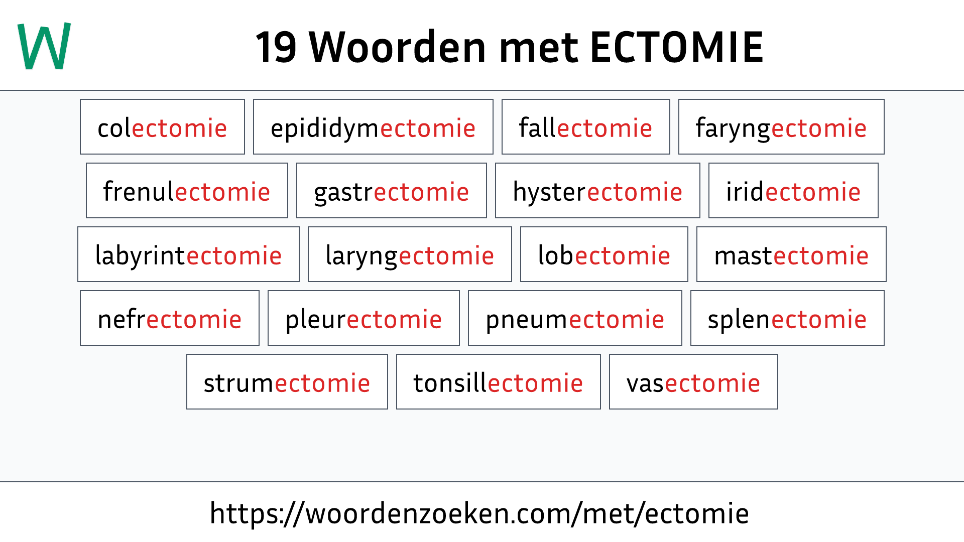 Woorden met ECTOMIE