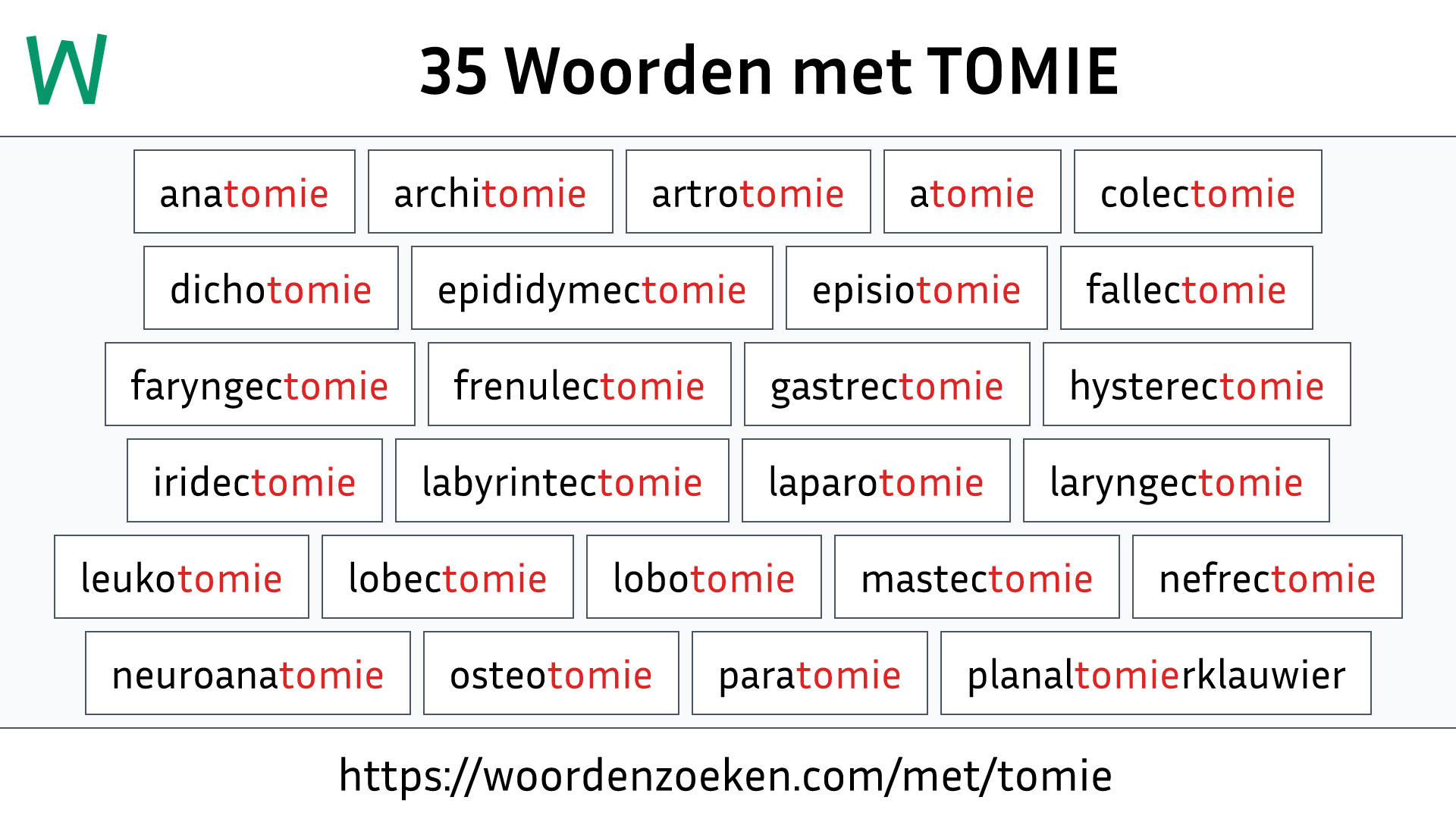 Woorden met TOMIE