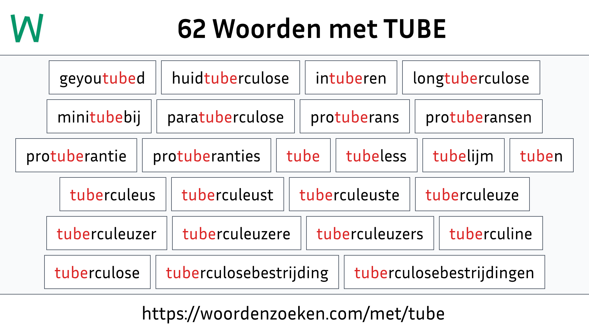 Woorden met TUBE