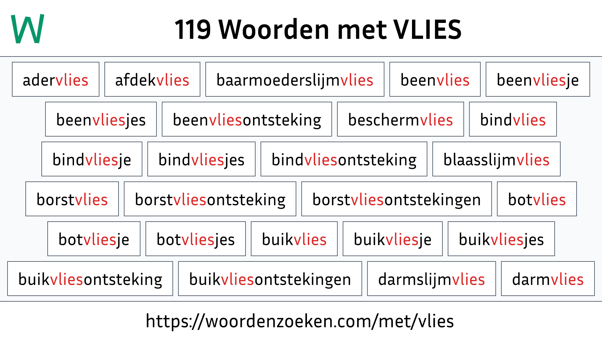 Woorden met VLIES